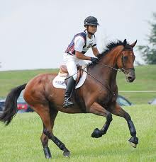 uphill gallop